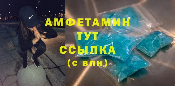 амф Богданович